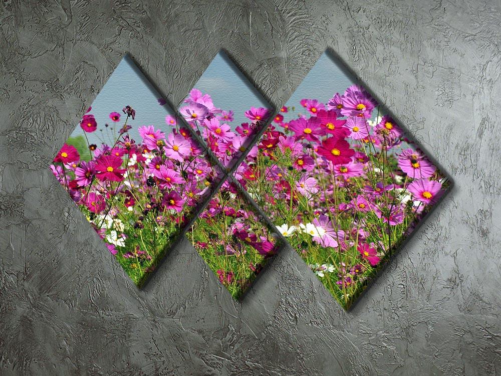 Flower field with blue sky 4 Square Multi Panel Canvas  - Canvas Art Rocks - 2