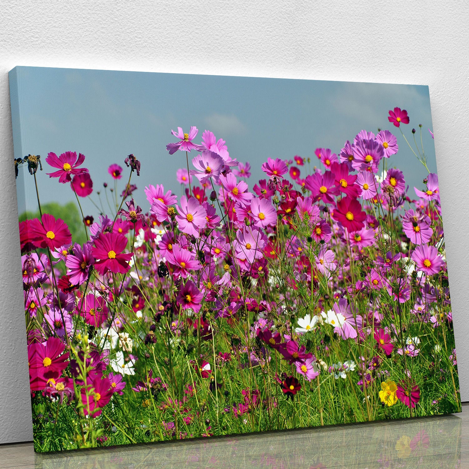 Flower field with blue sky Canvas Print or Poster - Canvas Art Rocks - 1