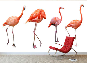 Four pink flamingo birds isolated on white Wall Mural Wallpaper - Canvas Art Rocks - 2