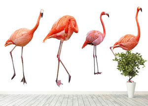 Four pink flamingo birds isolated on white Wall Mural Wallpaper - Canvas Art Rocks - 4