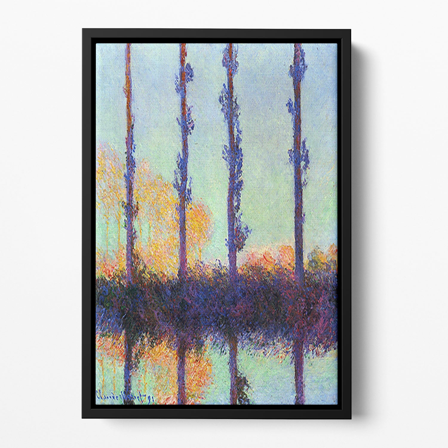 Four poplars by Monet Floating Framed Canvas