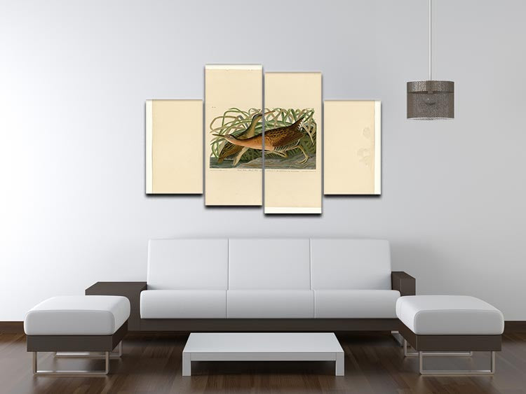 Fresh Water Marsh Hen by Audubon 4 Split Panel Canvas - Canvas Art Rocks - 3