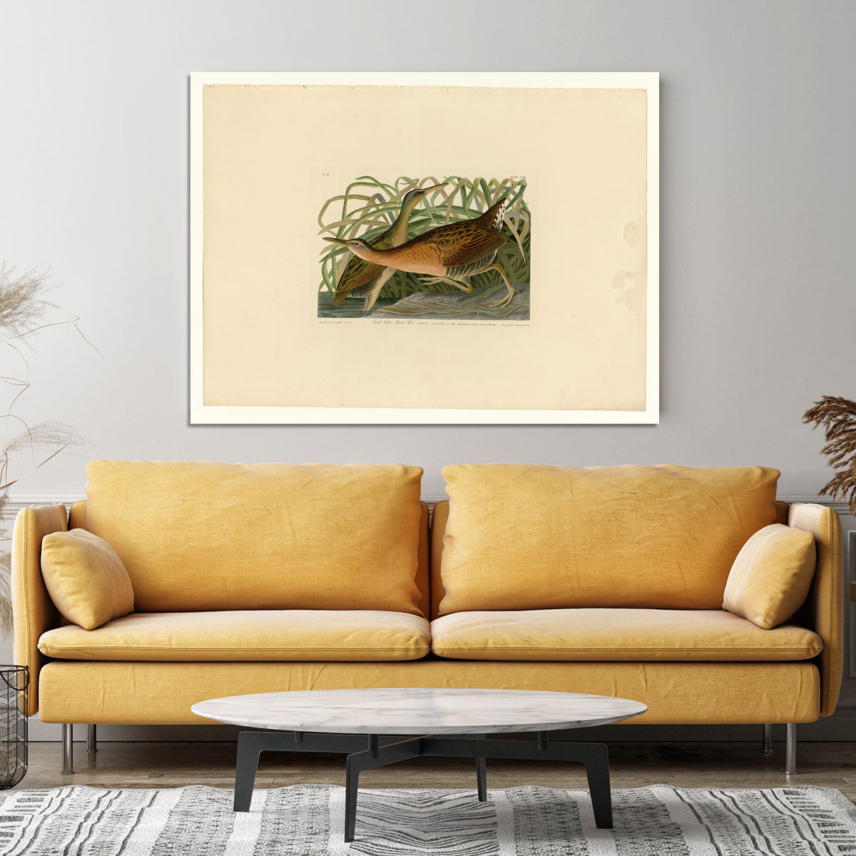 Fresh Water Marsh Hen by Audubon Canvas Print or Poster - Canvas Art Rocks - 4