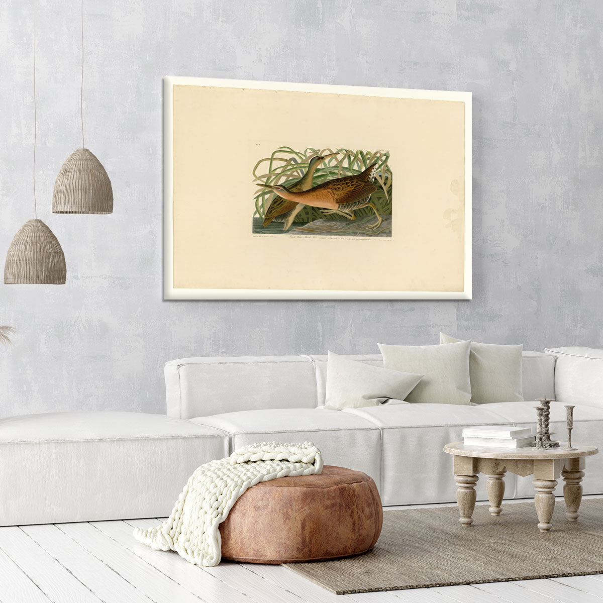 Fresh Water Marsh Hen by Audubon Canvas Print or Poster - Canvas Art Rocks - 6