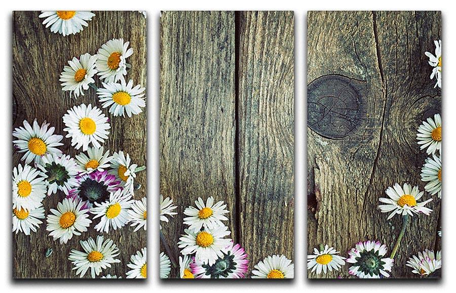 Fresh daisies on wood 3 Split Panel Canvas Print - Canvas Art Rocks - 1
