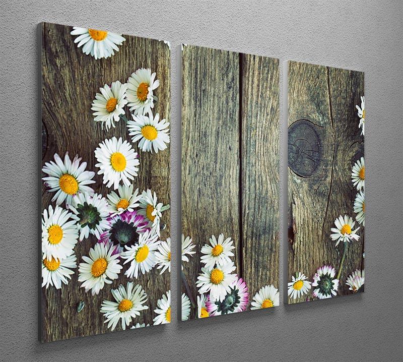 Fresh daisies on wood 3 Split Panel Canvas Print - Canvas Art Rocks - 2