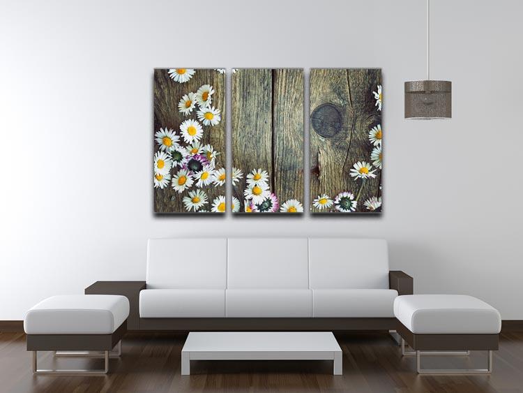 Fresh daisies on wood 3 Split Panel Canvas Print - Canvas Art Rocks - 3
