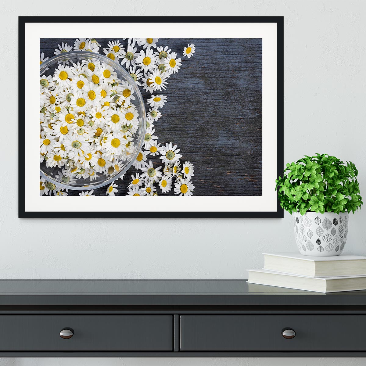 Fresh medicinal roman chamomile flower Framed Print - Canvas Art Rocks - 1