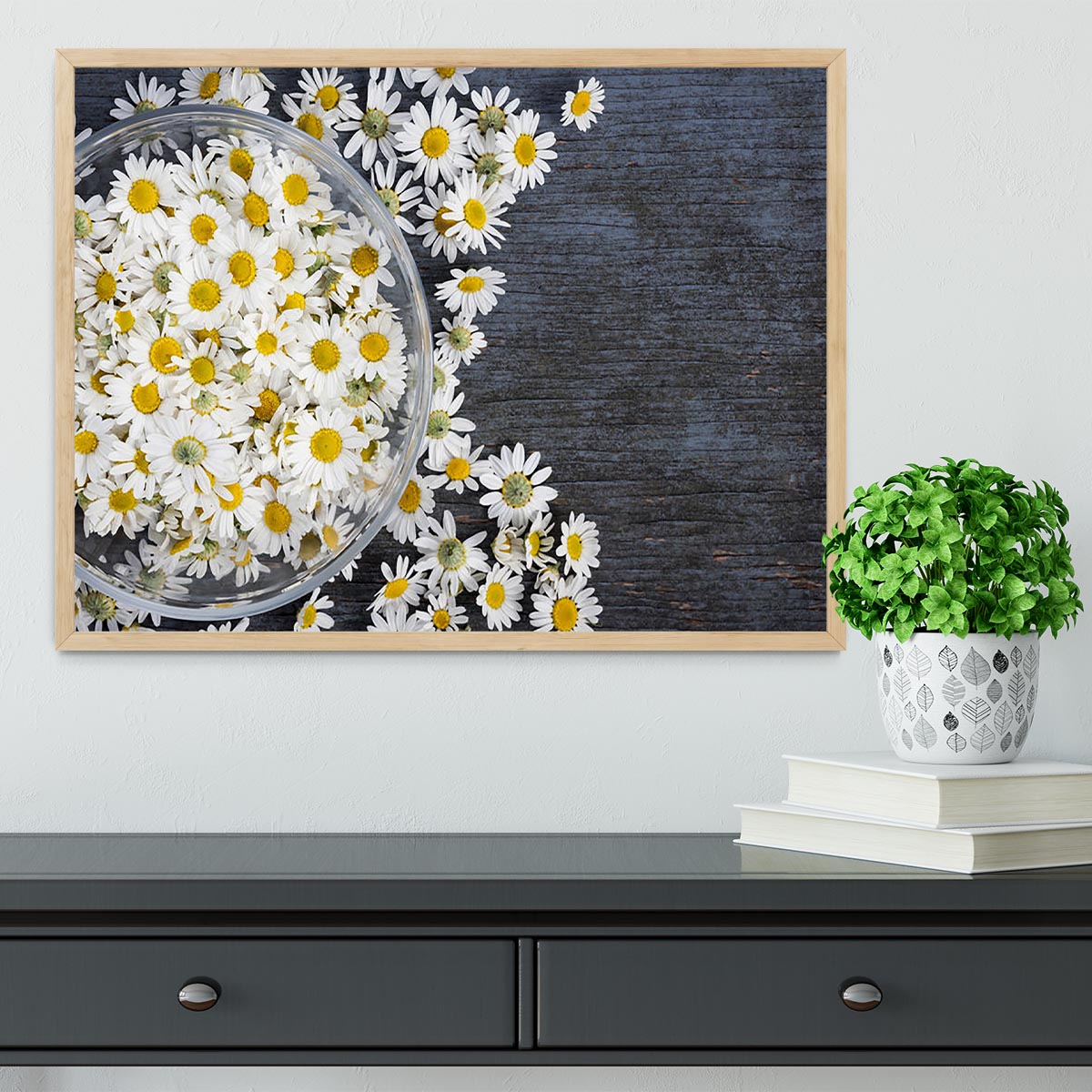 Fresh medicinal roman chamomile flower Framed Print - Canvas Art Rocks - 4
