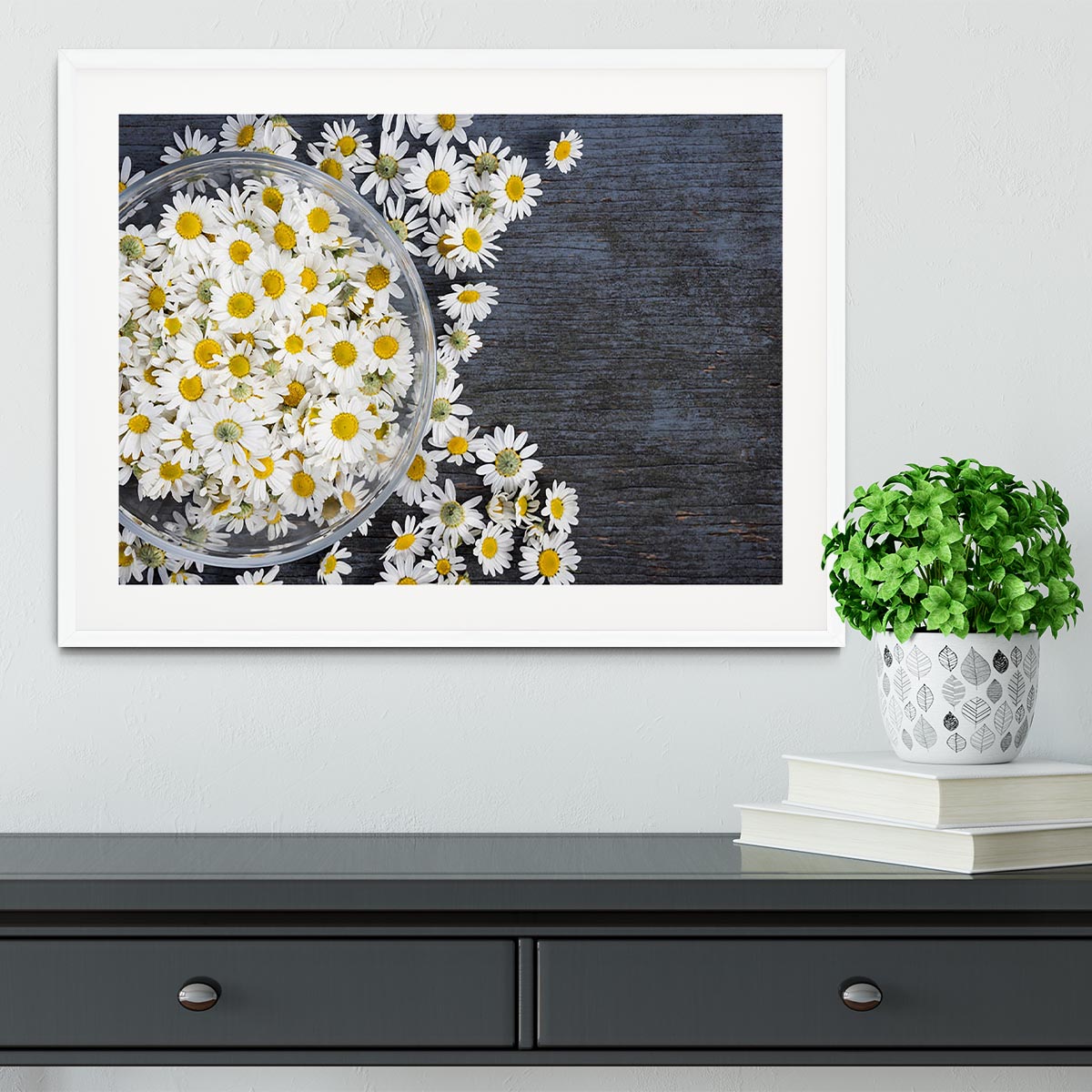 Fresh medicinal roman chamomile flower Framed Print - Canvas Art Rocks - 5