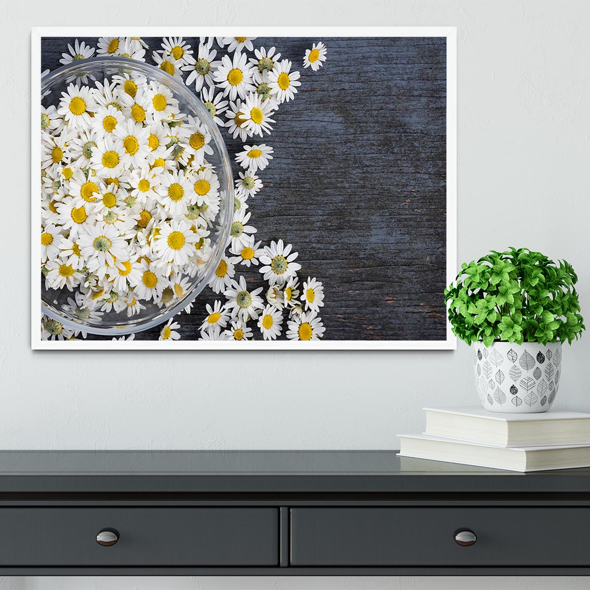 Fresh medicinal roman chamomile flower Framed Print - Canvas Art Rocks -6
