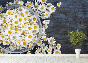 Fresh medicinal roman chamomile flower Wall Mural Wallpaper - Canvas Art Rocks - 4