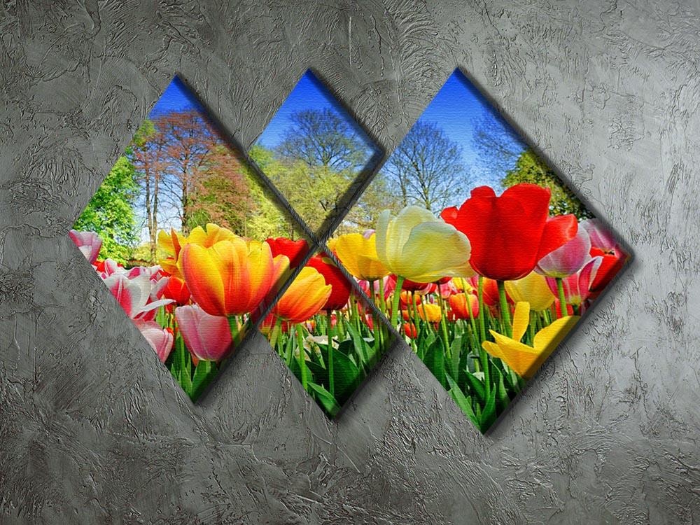 Fresh multicolored tulips in a spring park 4 Square Multi Panel Canvas  - Canvas Art Rocks - 2
