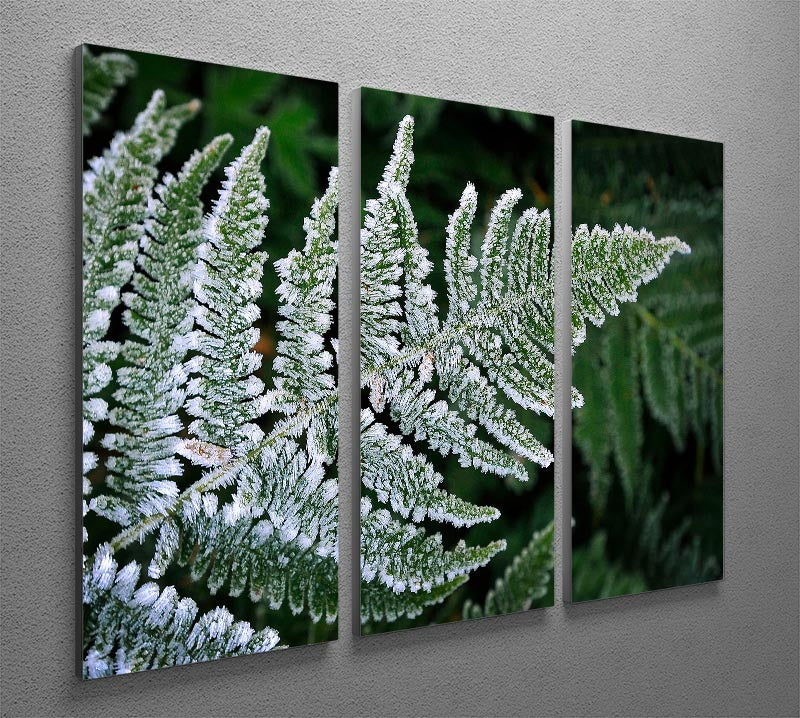 Frosty Fern 3 Split Panel Canvas Print - Canvas Art Rocks - 2