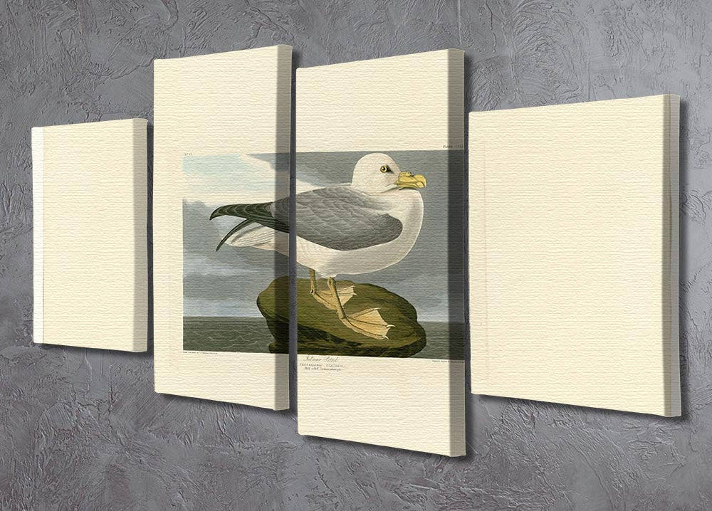 Fulmar Petrel by Audubon 4 Split Panel Canvas - Canvas Art Rocks - 2