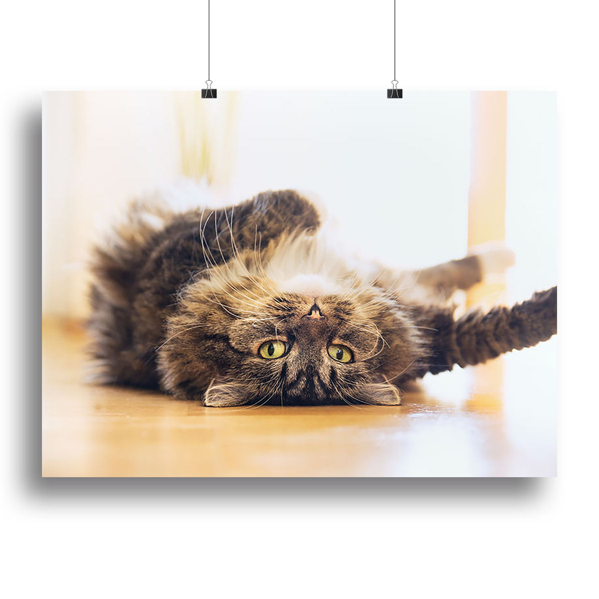 Funny cat is lying relaxed on his back Canvas Print or Poster - Canvas Art Rocks - 2