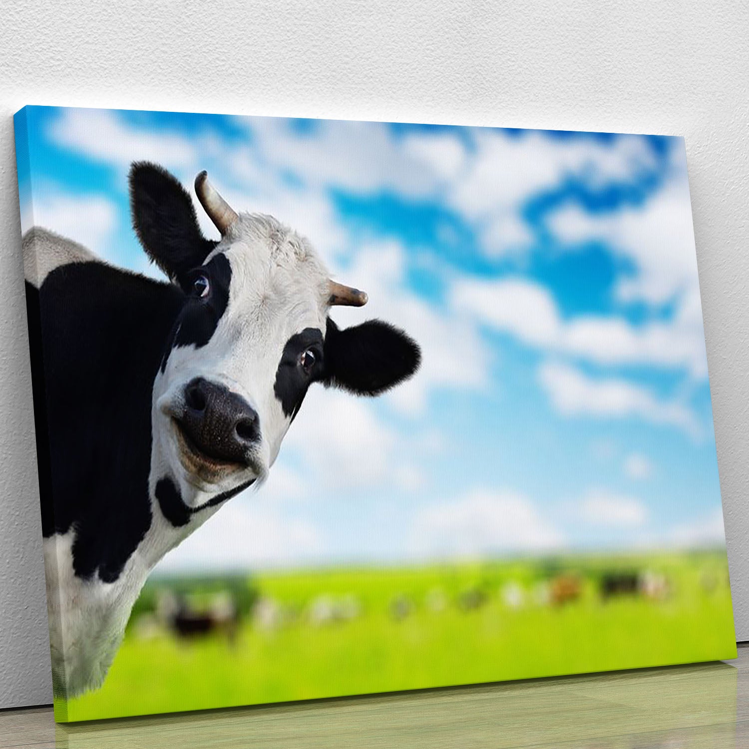 Funny cow looking to a camera Canvas Print or Poster - Canvas Art Rocks - 1