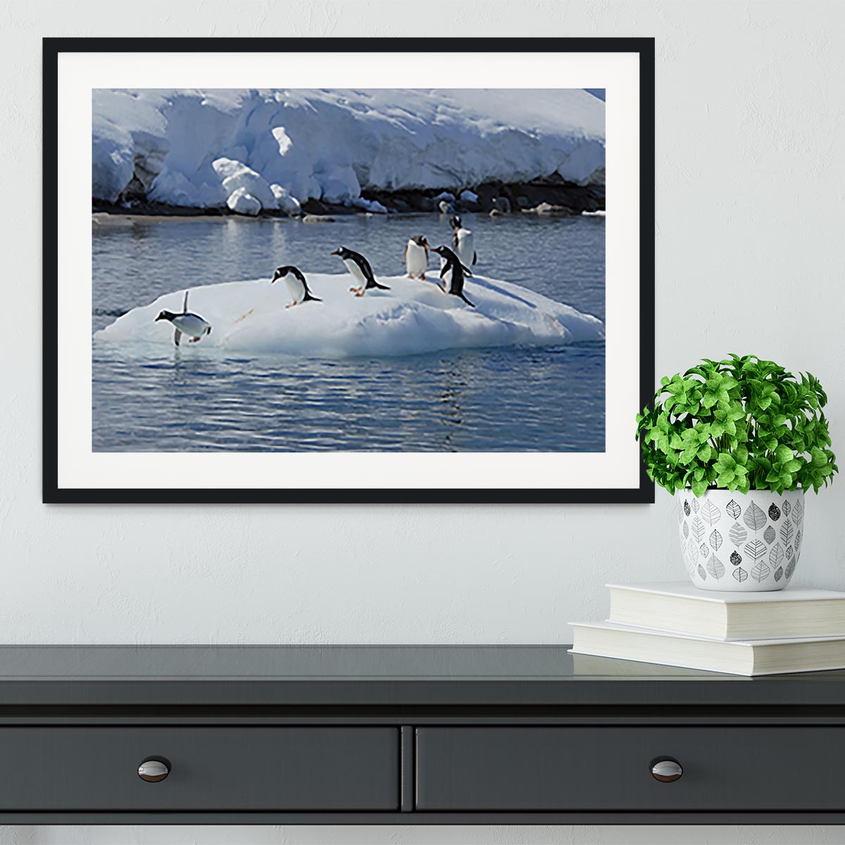 Gentoo Penguin playtime Framed Print - Canvas Art Rocks - 1