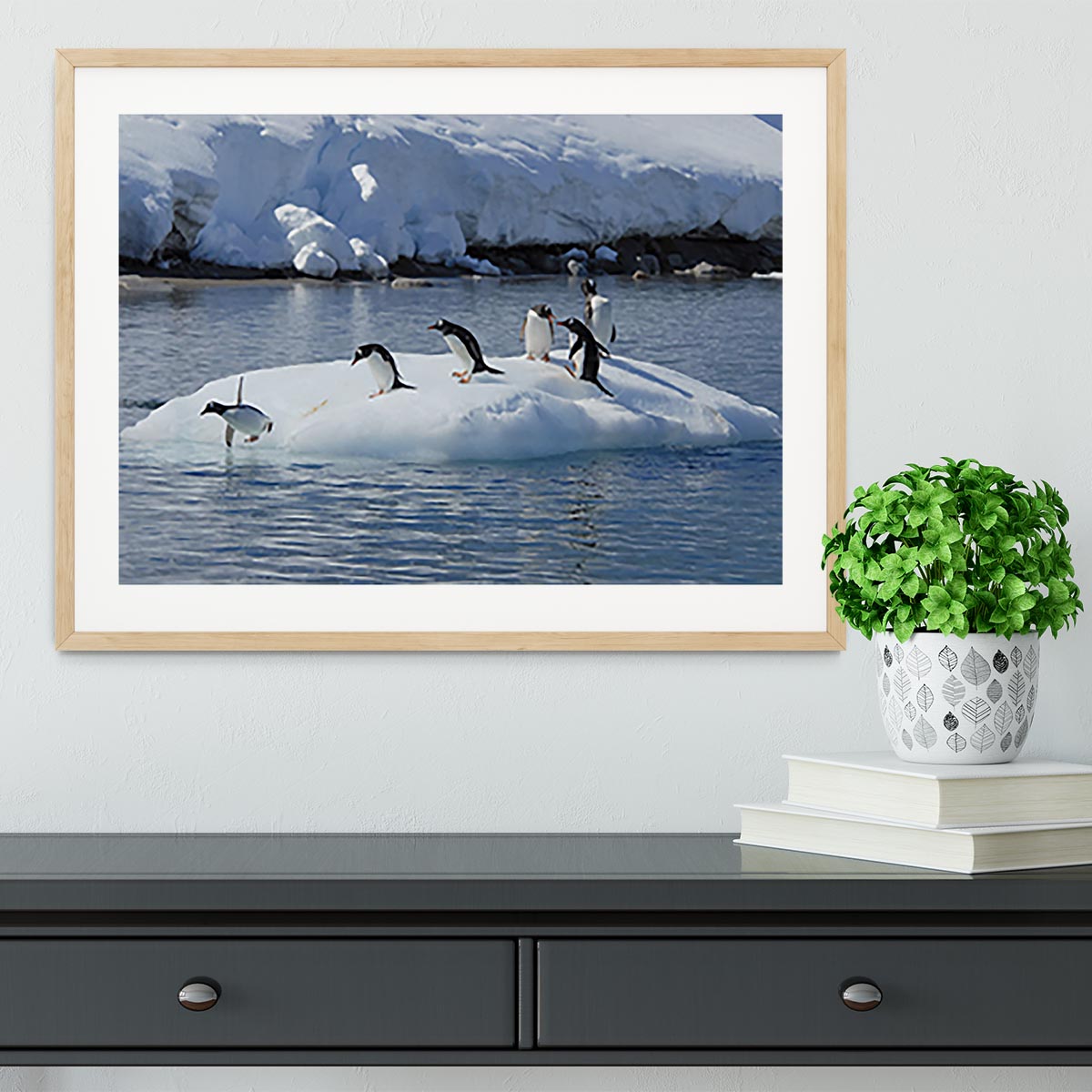 Gentoo Penguin playtime Framed Print - Canvas Art Rocks - 3