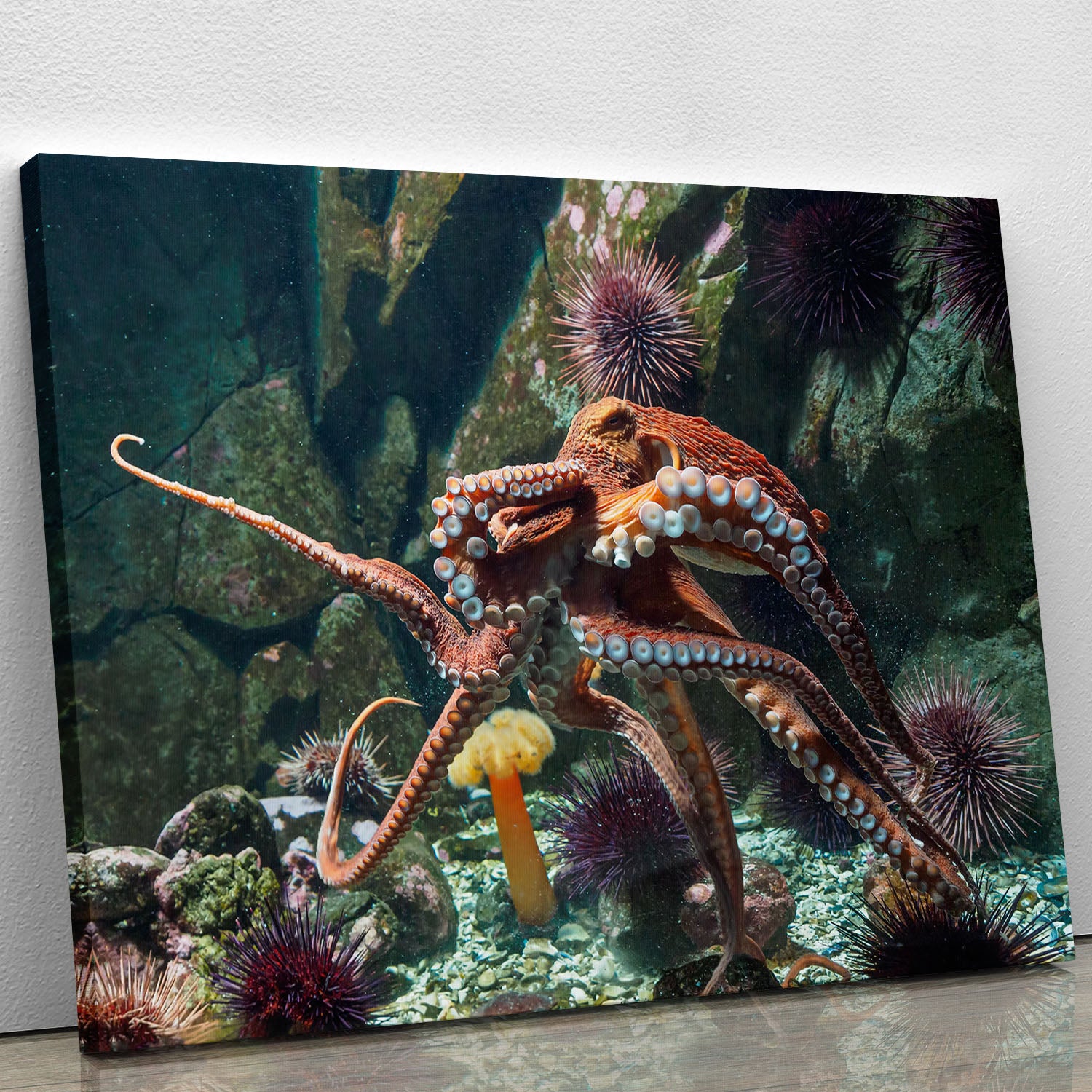 Giant Pacific octopus Canvas Print or Poster - Canvas Art Rocks - 1
