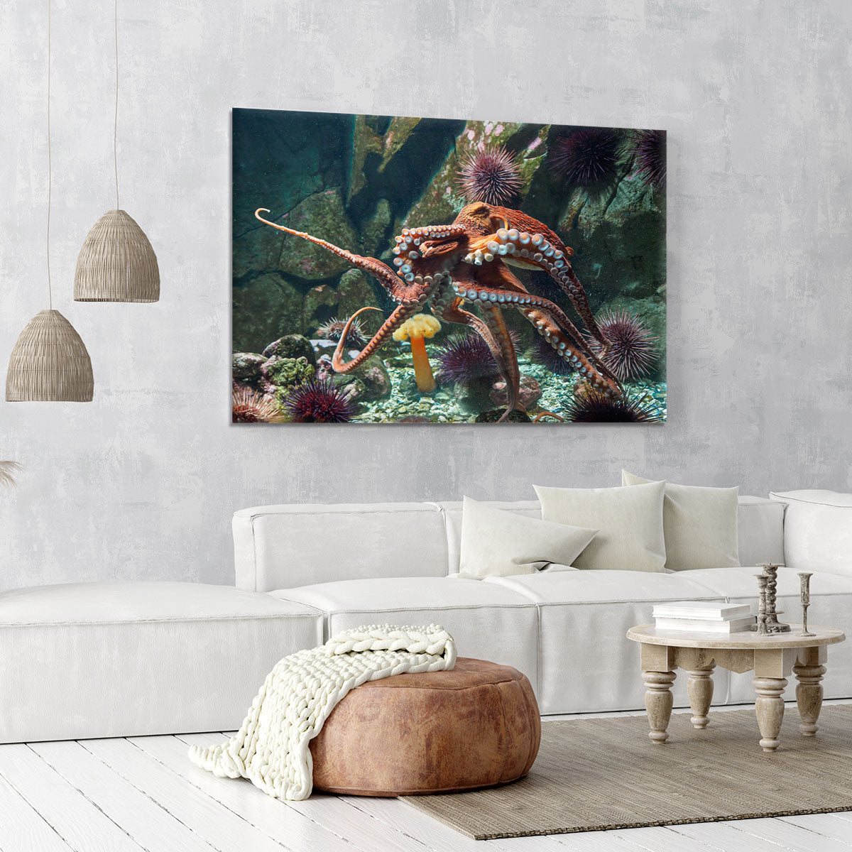 Giant Pacific octopus Canvas Print or Poster - Canvas Art Rocks - 6