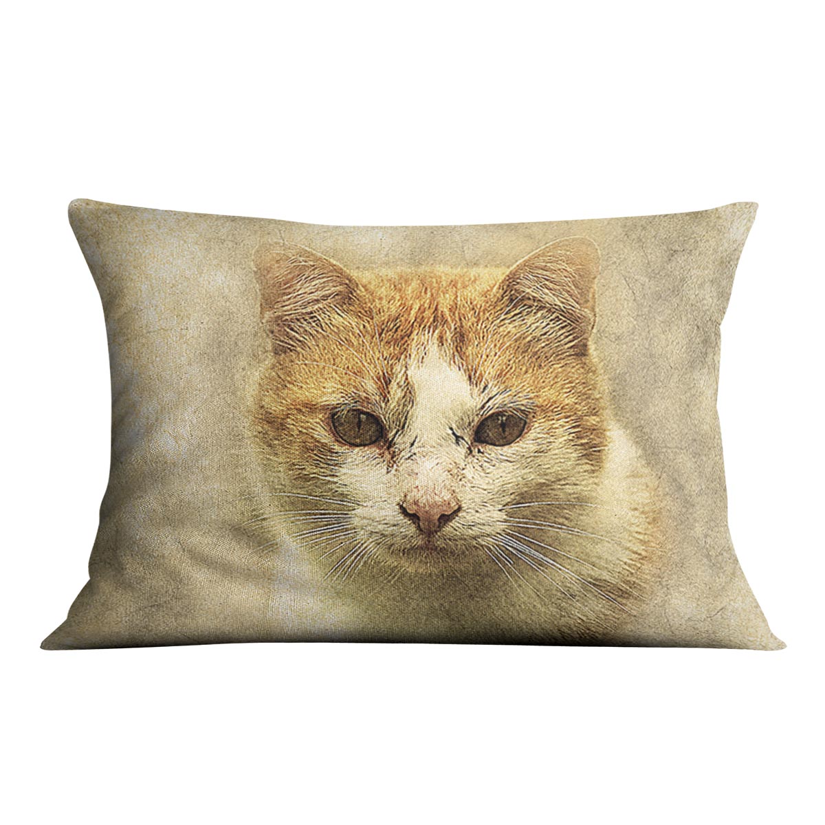 Ginger Cat Painting Cushion