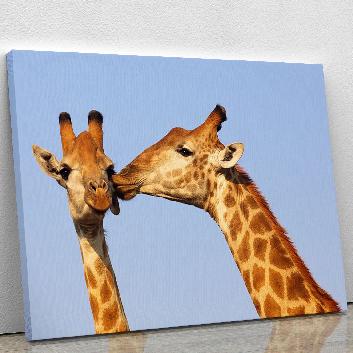 Giraffe pair bonding Canvas Print or Poster - Canvas Art Rocks - 1