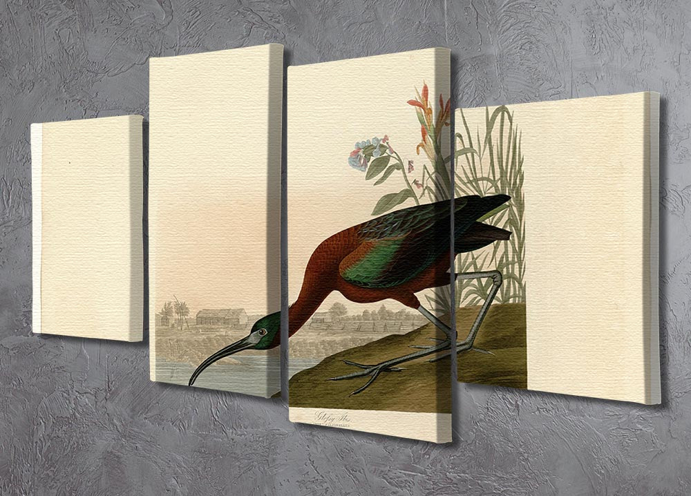 Glossy Ibis by Audubon 4 Split Panel Canvas - Canvas Art Rocks - 2