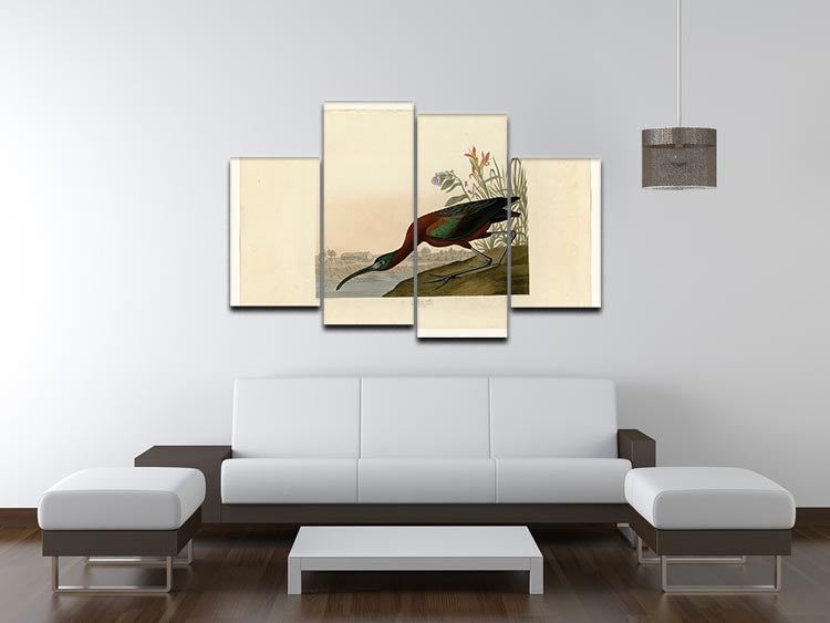 Glossy Ibis by Audubon 4 Split Panel Canvas - Canvas Art Rocks - 3