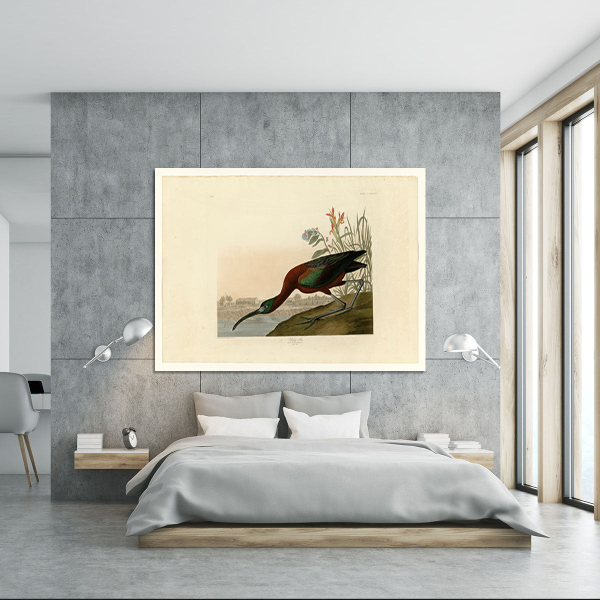 Glossy Ibis by Audubon Canvas Print or Poster - Canvas Art Rocks - 5