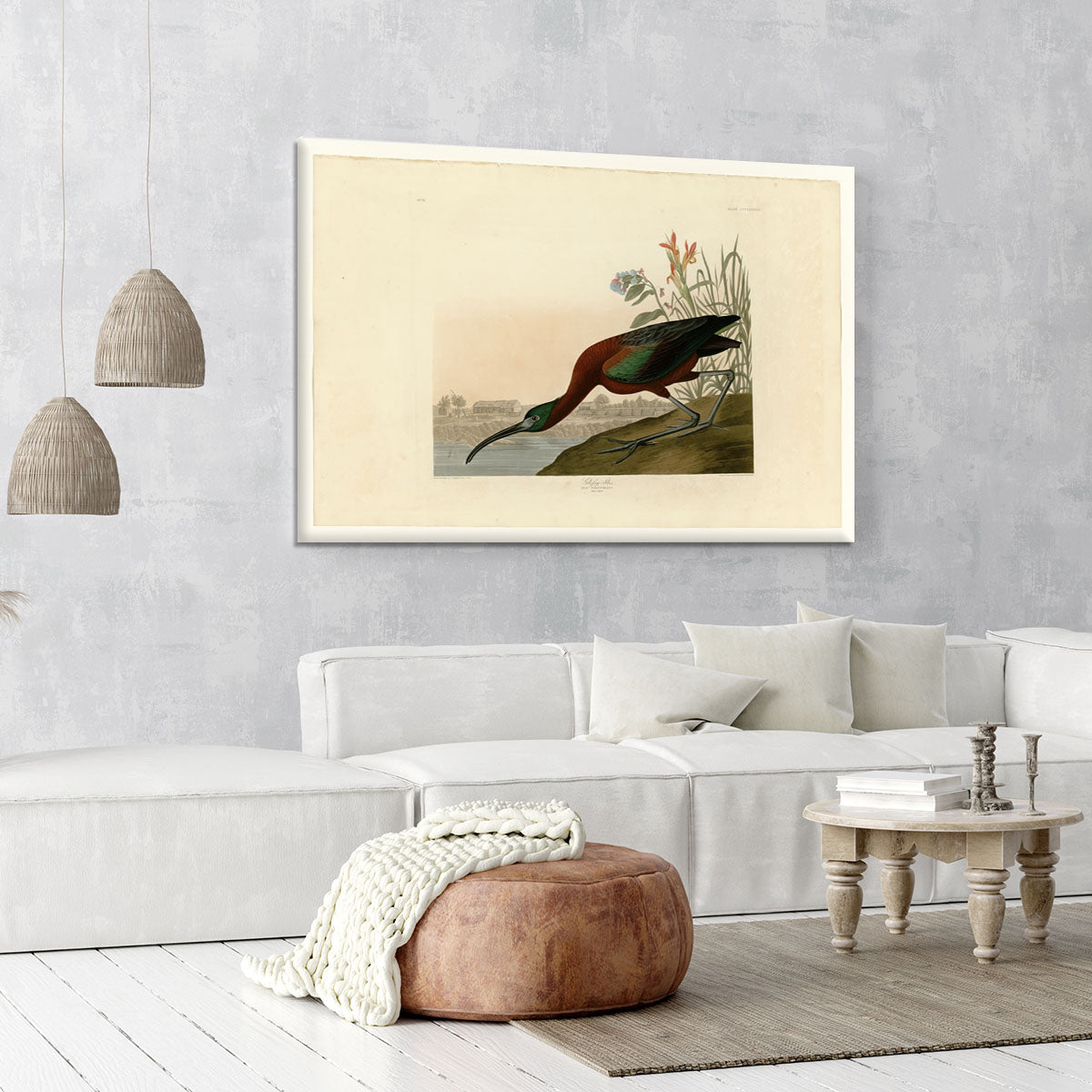Glossy Ibis by Audubon Canvas Print or Poster - Canvas Art Rocks - 6