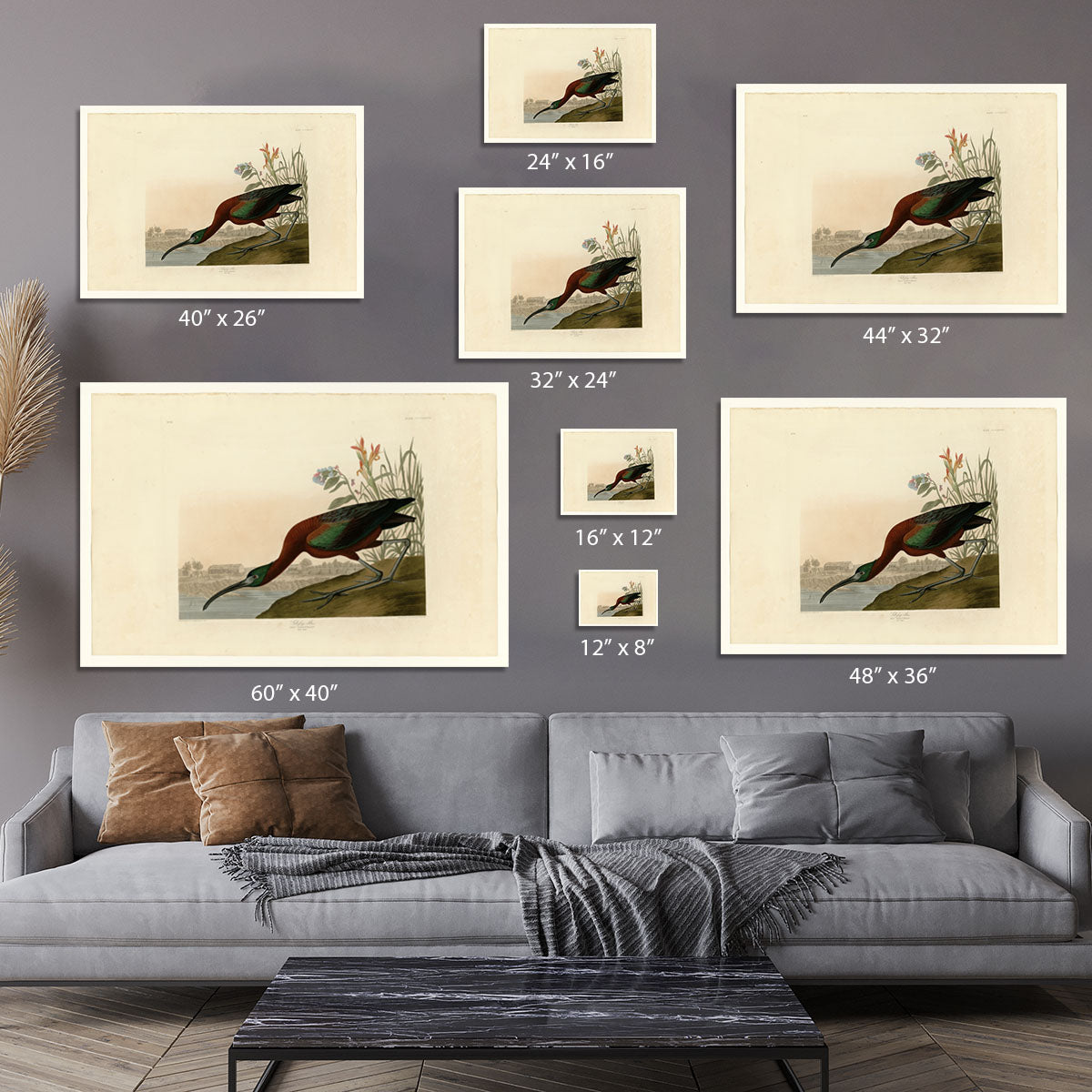 Glossy Ibis by Audubon Canvas Print or Poster - Canvas Art Rocks - 7