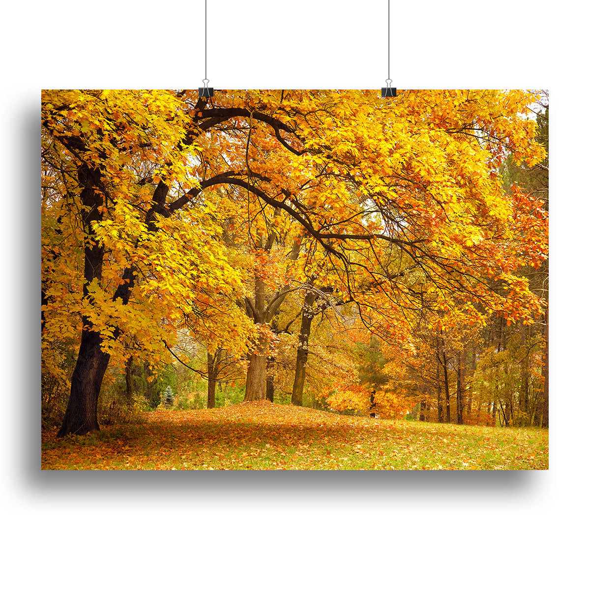Gold Trees in a park Canvas Print or Poster - Canvas Art Rocks - 2