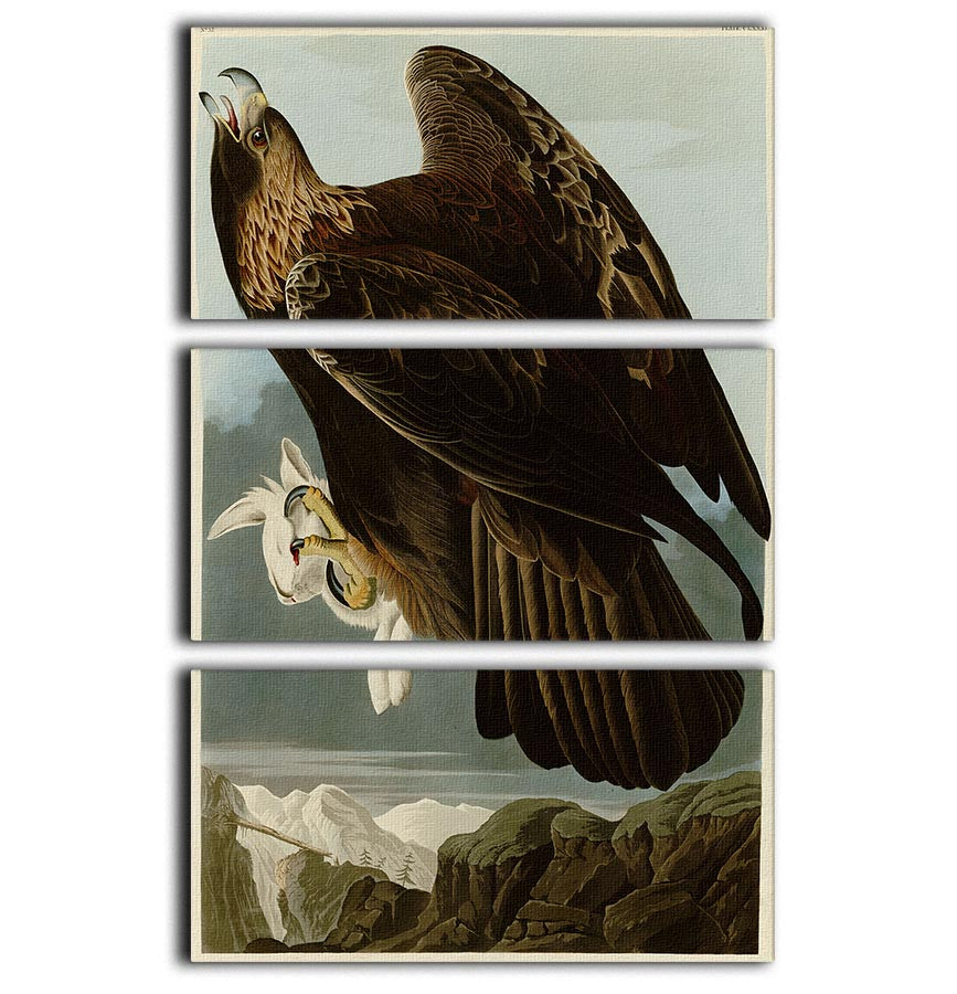 Golden Eagle by Audubon 3 Split Panel Canvas Print - Canvas Art Rocks - 1