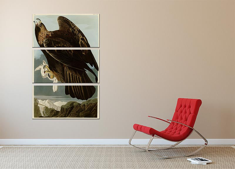 Golden Eagle by Audubon 3 Split Panel Canvas Print - Canvas Art Rocks - 2