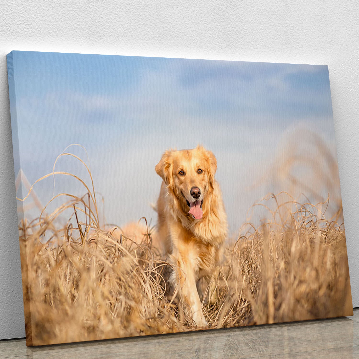 Golden retriever dog running Canvas Print or Poster - Canvas Art Rocks - 1