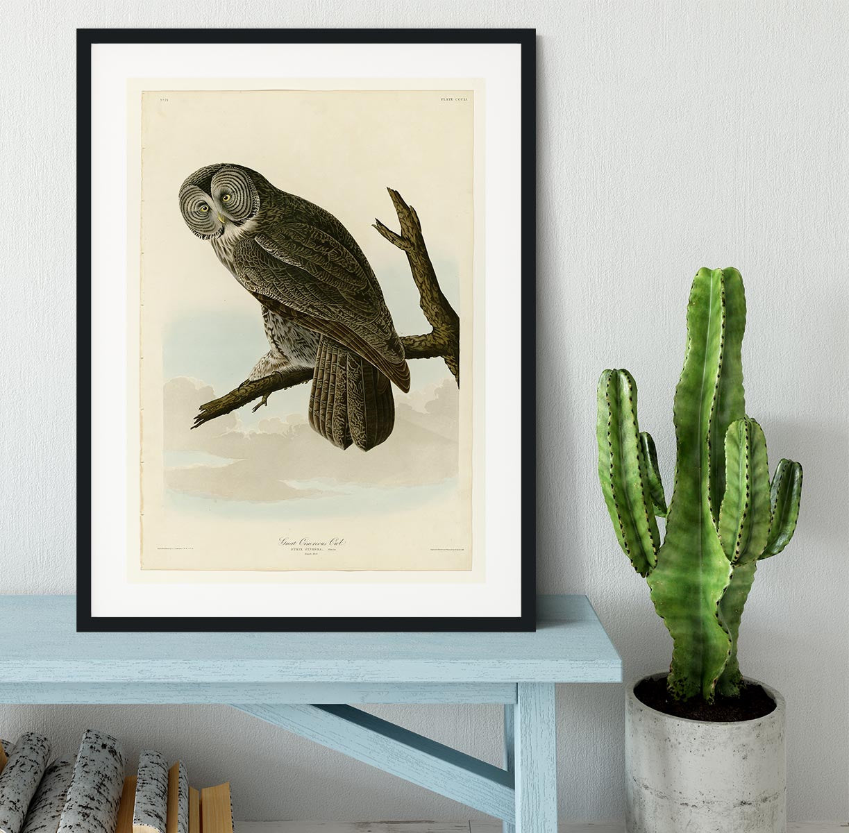 Great Cinereous Owl by Audubon Framed Print - Canvas Art Rocks - 1