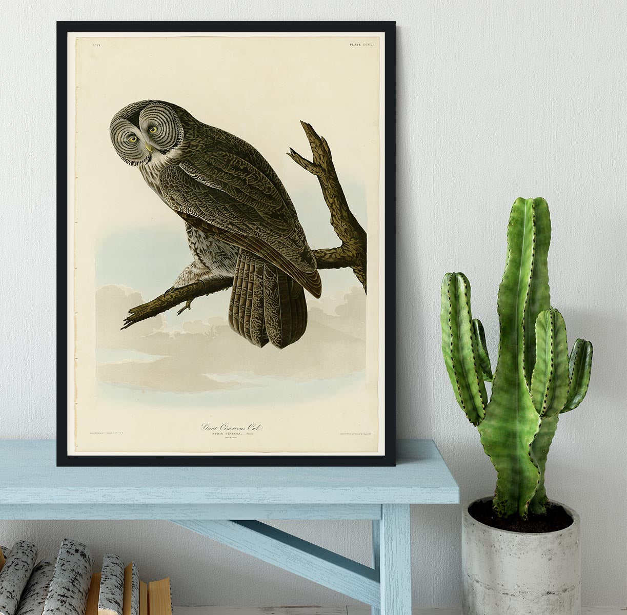 Great Cinereous Owl by Audubon Framed Print - Canvas Art Rocks - 2