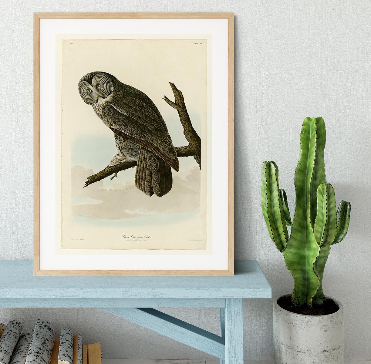 Great Cinereous Owl by Audubon Framed Print - Canvas Art Rocks - 3