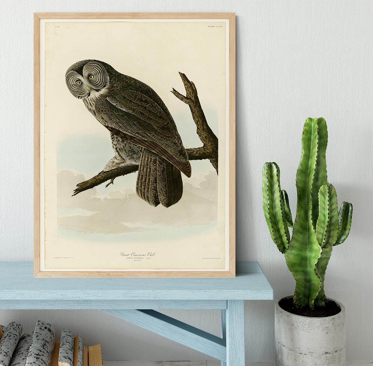 Great Cinereous Owl by Audubon Framed Print - Canvas Art Rocks - 4