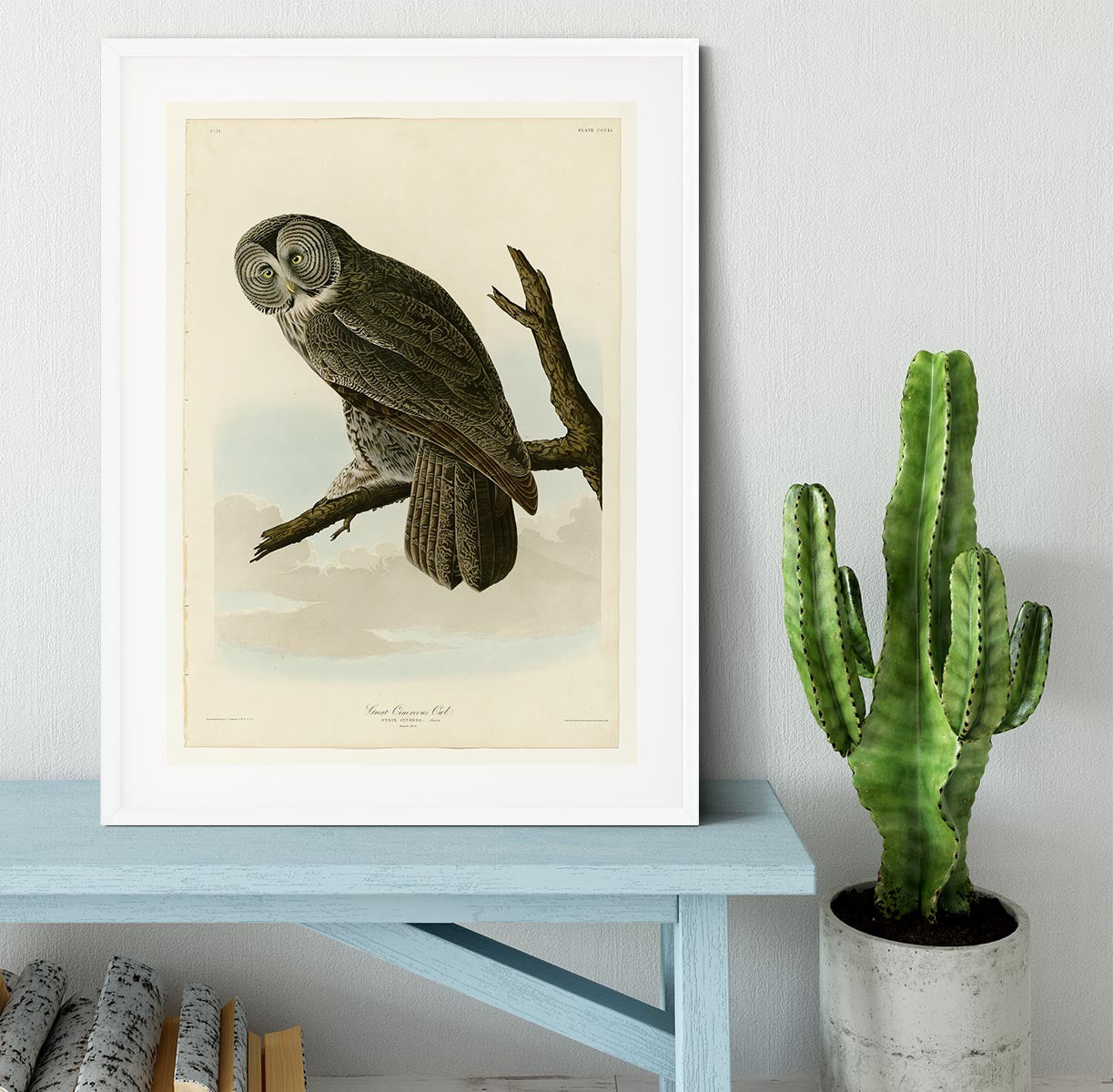 Great Cinereous Owl by Audubon Framed Print - Canvas Art Rocks - 5