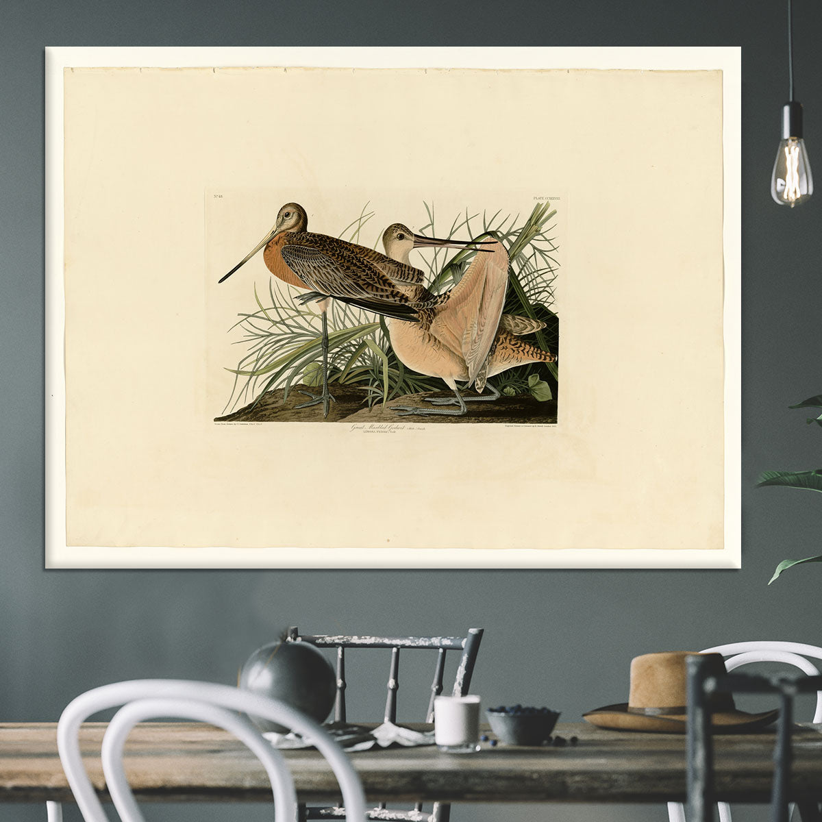 Great Marbled Godwit by Audubon Canvas Print or Poster - Canvas Art Rocks - 3