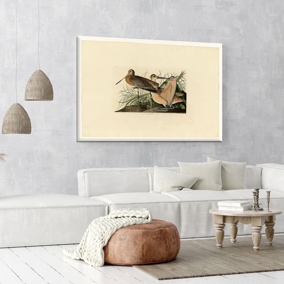 Great Marbled Godwit by Audubon Canvas Print or Poster - Canvas Art Rocks - 6
