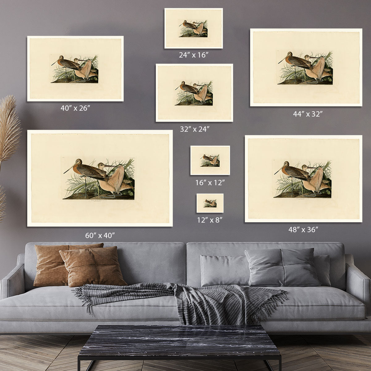 Great Marbled Godwit by Audubon Canvas Print or Poster - Canvas Art Rocks - 7