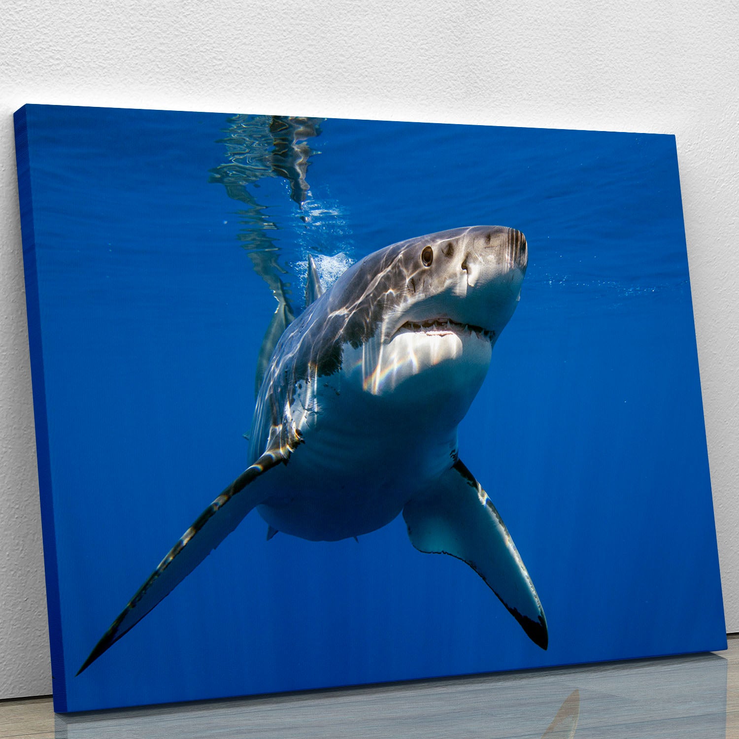 Great White Canvas Print or Poster - Canvas Art Rocks - 1