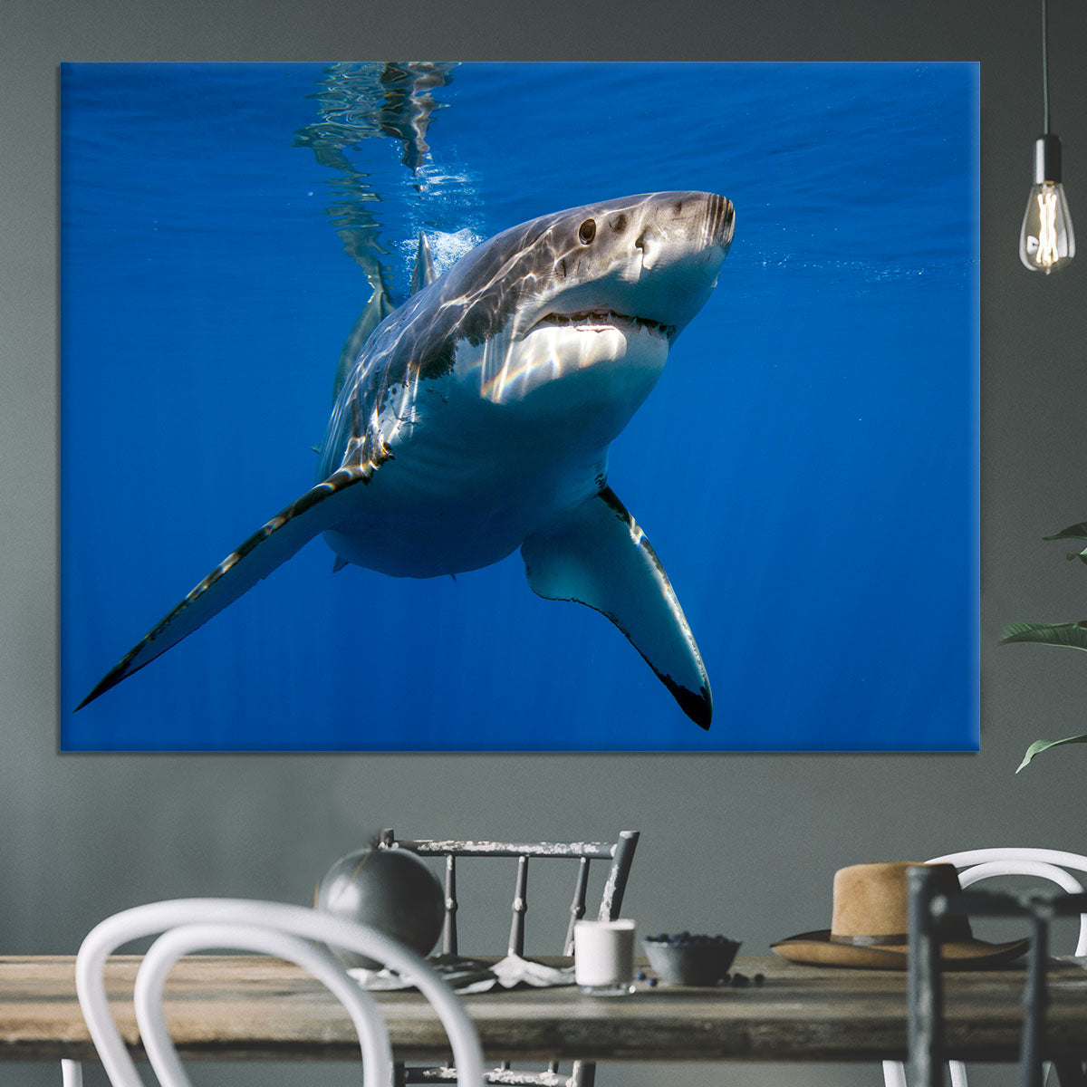 Great White Canvas Print or Poster - Canvas Art Rocks - 3