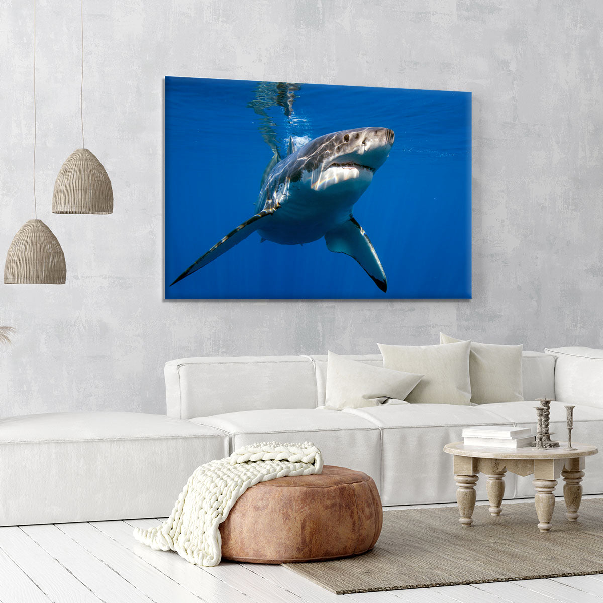Great White Canvas Print or Poster - Canvas Art Rocks - 6