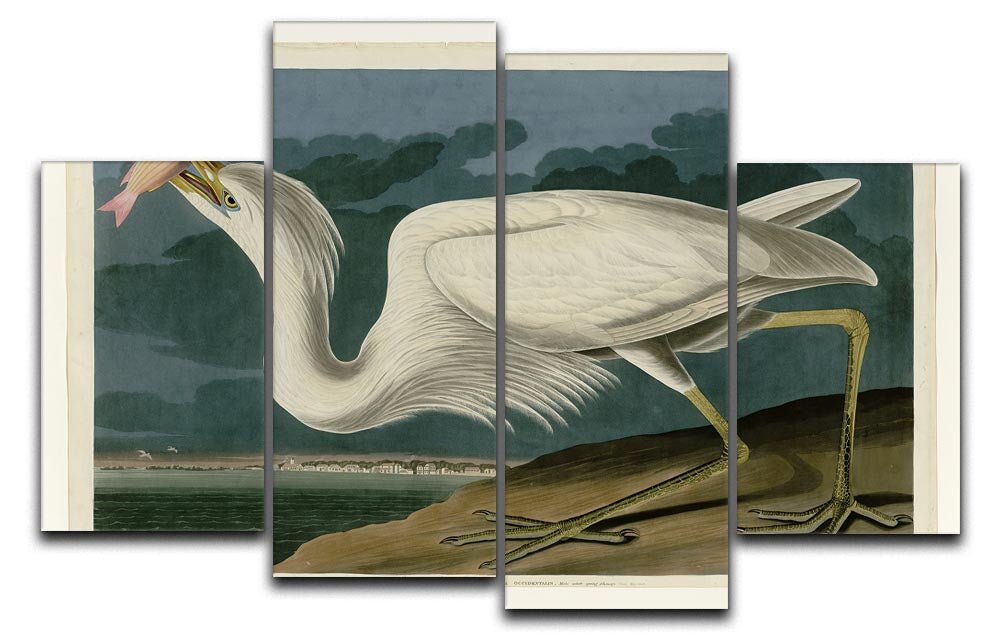 Great White Heron by Audubon 4 Split Panel Canvas - Canvas Art Rocks - 1