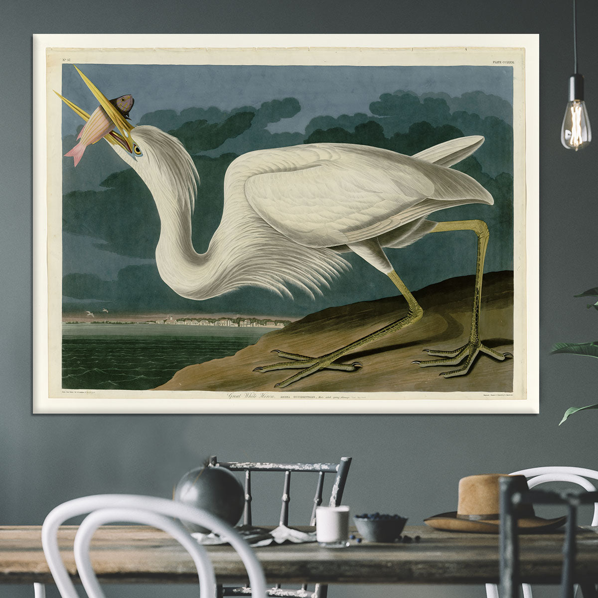 Great White Heron by Audubon Canvas Print or Poster - Canvas Art Rocks - 3