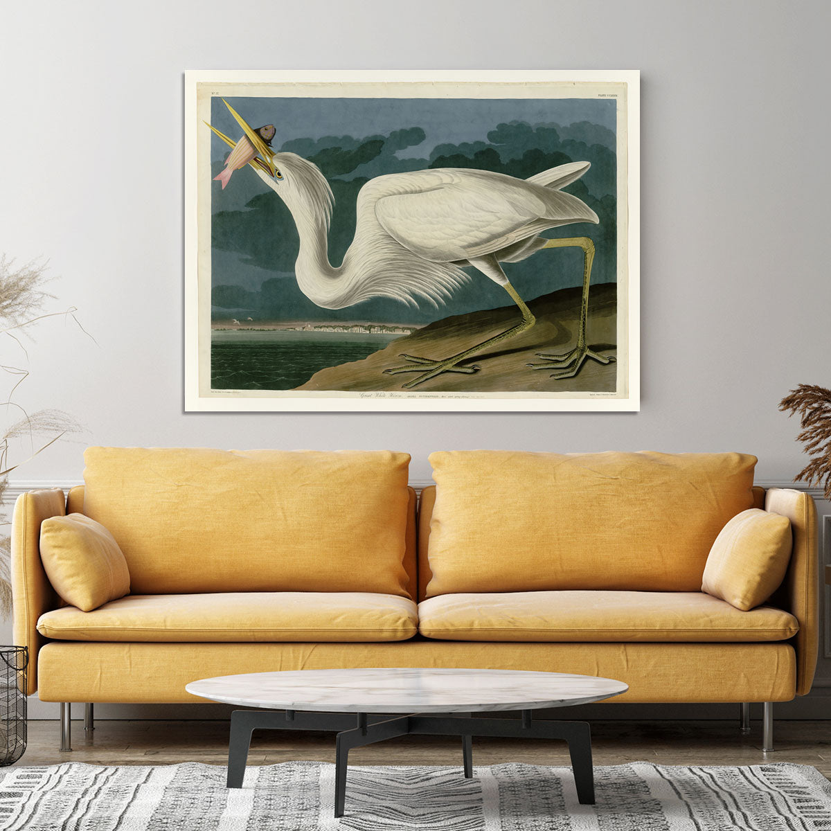 Great White Heron by Audubon Canvas Print or Poster - Canvas Art Rocks - 4